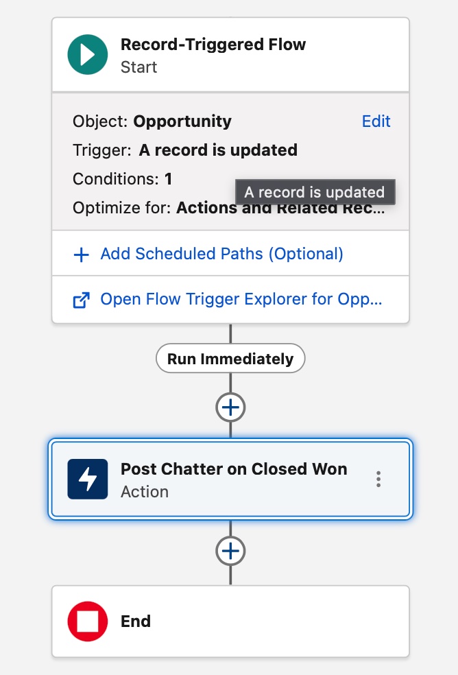 Salesforce Record-Triggered Flow Canvas